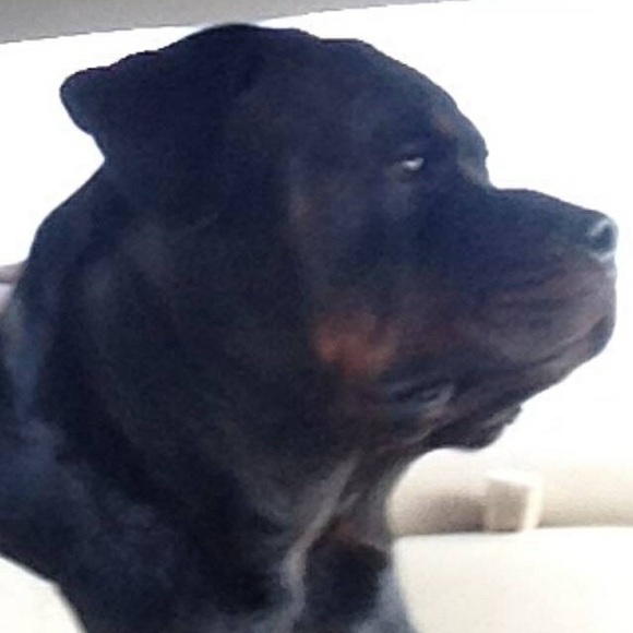 Meet your Posher, Lisa - Picture 1 of 1